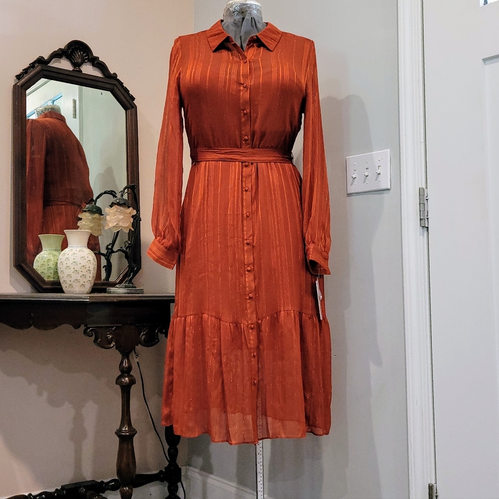 NWT 16 Nanette Lepore Copper Shimmery Dress - Picture 2 of 11